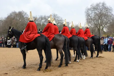 DSC_5601 (Large).JPG